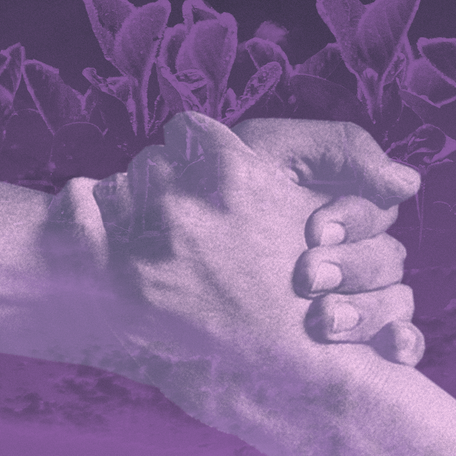 A purple-toned image of clasped hands with purple flowers in the background, representing taking action on domestic violence and gun violence.