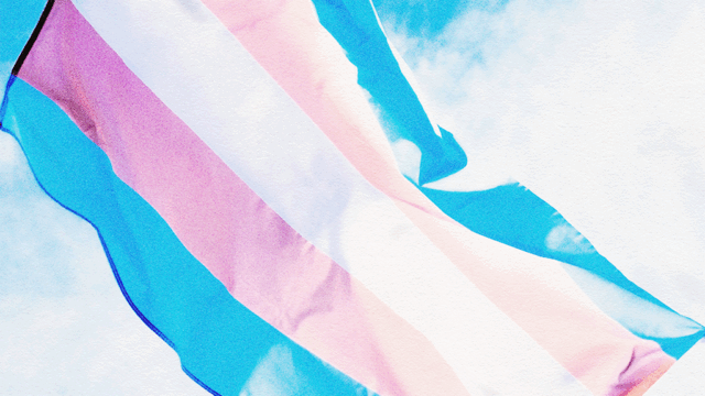 A transgender pride flag, which from top-to-bottom has horizontal stripes in light blue, light pink, white, light pink, and light blue. The flag waves in front of a background of blue sky and white clouds.