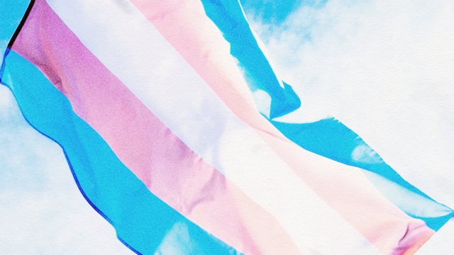 A transgender pride flag, which from top-to-bottom has horizontal stripes in light blue, light pink, white, light pink, and light blue. The flag waves in front of a background of blue sky and white clouds.